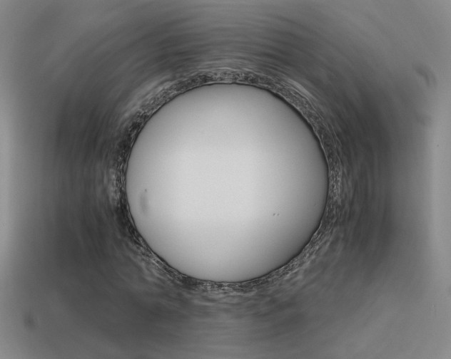 X0000114700774200910211008