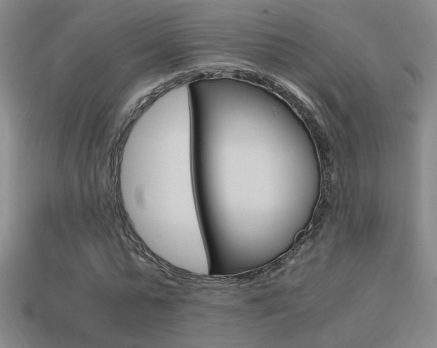 X0000114700775200910211008