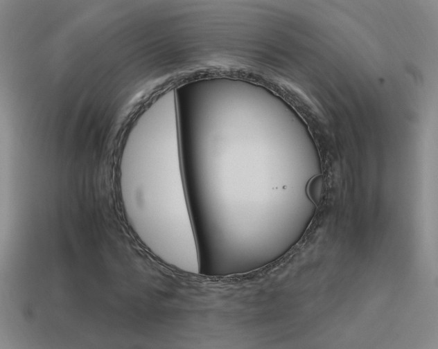 X0000114700776200910211008