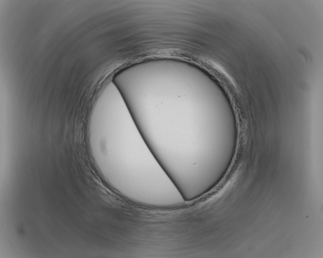 X0000114700777200910211008