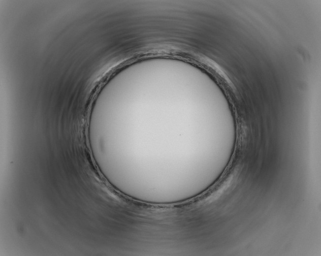 X0000114700778200910211008