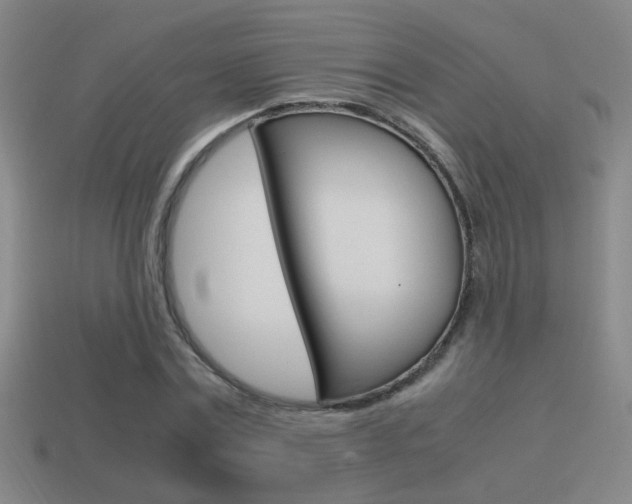 X0000114700779200910211008