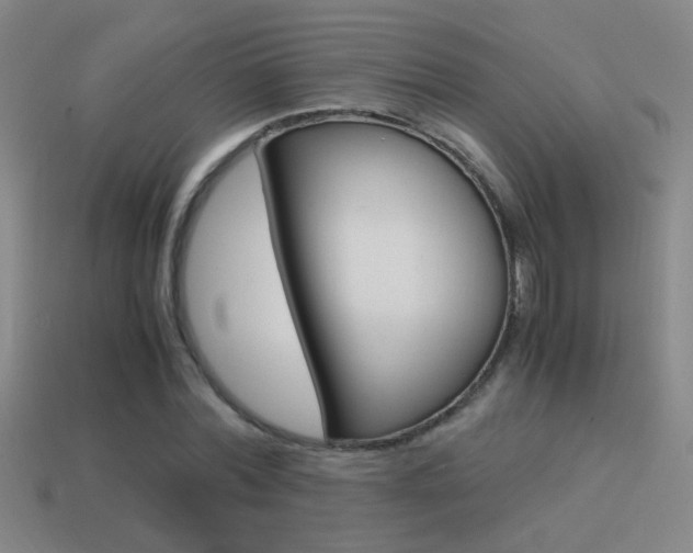 X0000114700780200910211008