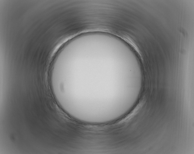 X0000114700781200910211008