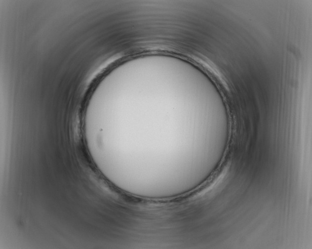 X0000114700782200910211008