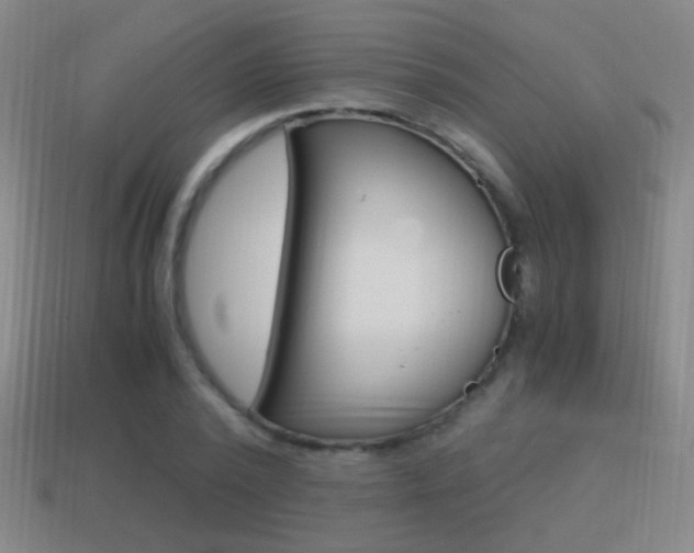 X0000114700784200910211008