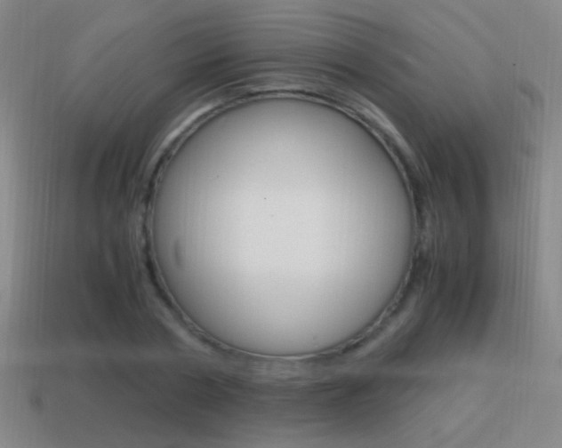 X0000114700786200910211008
