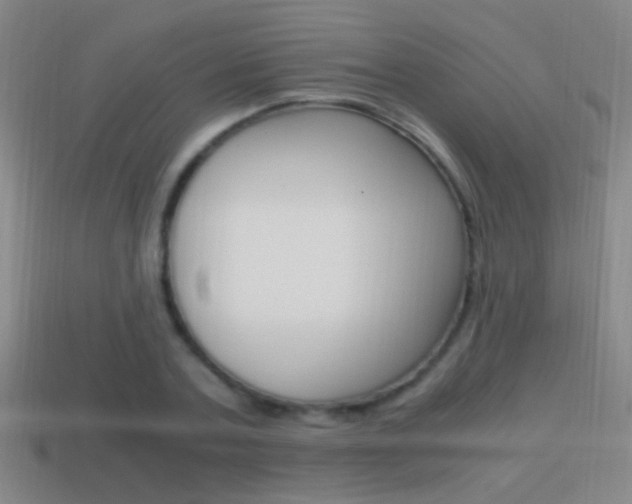 X0000114700787200910211008