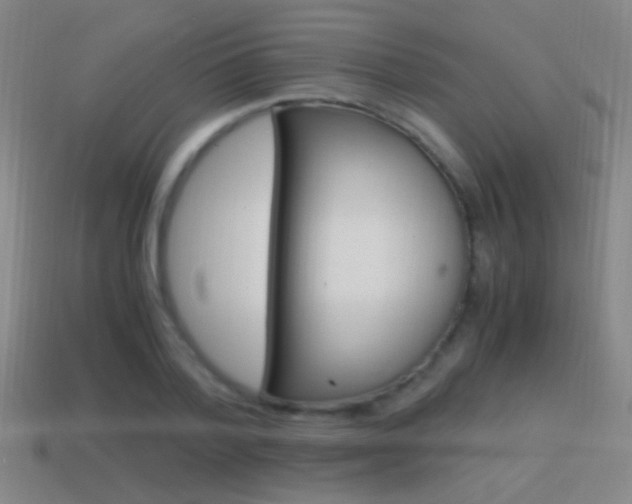 X0000114700788200910211008