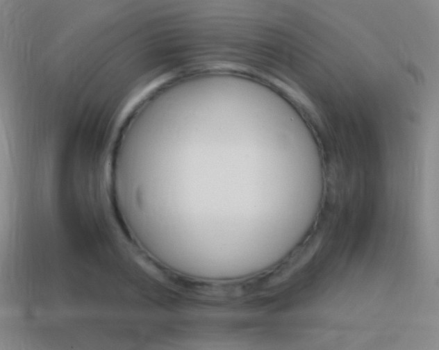 X0000114700790200910211008