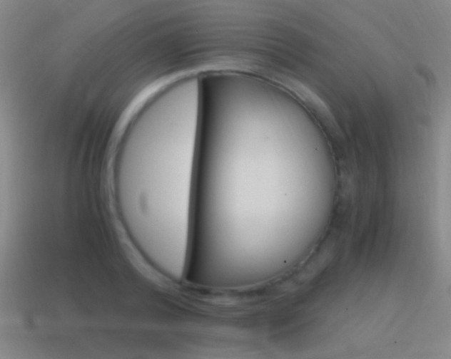 X0000114700792200910211008