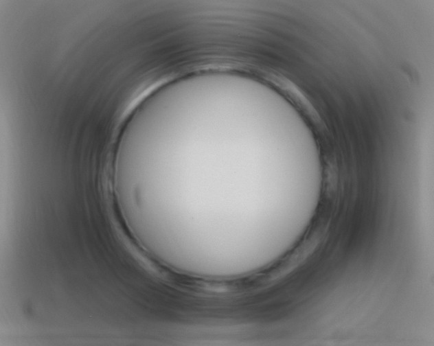 X0000114700794200910211008