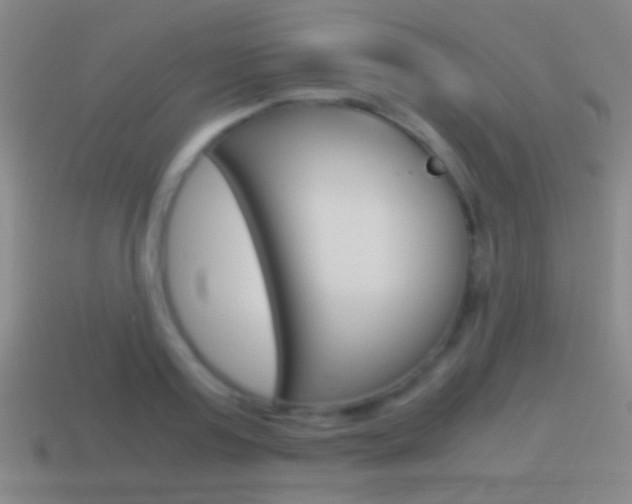 X0000114700795200910211008