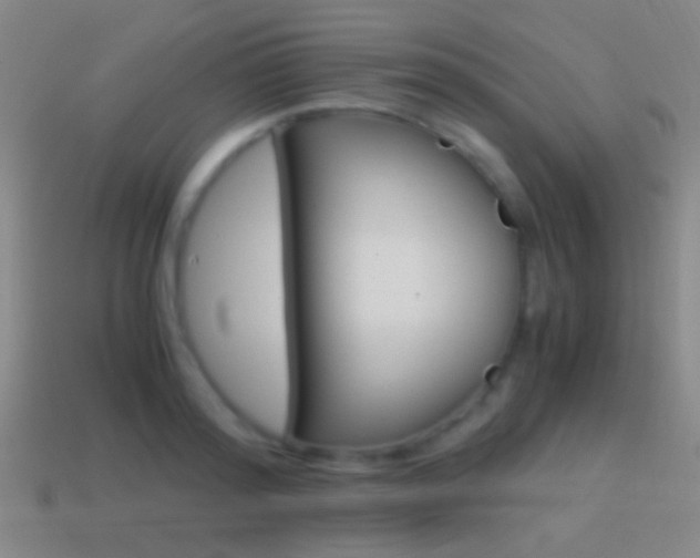 X0000114700796200910211008