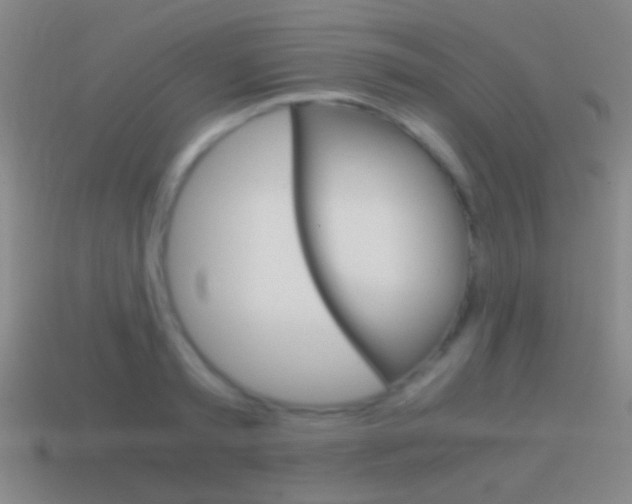 X0000114700797200910211008