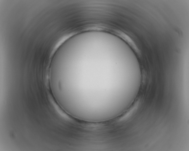 X0000114700802200910211008