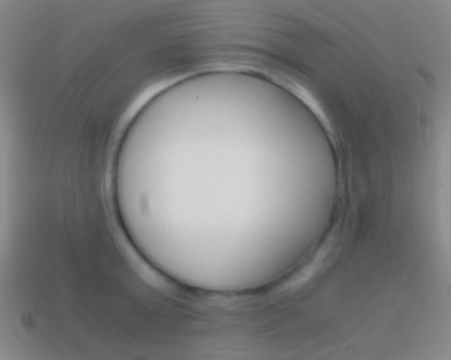 X0000114700803200910211008