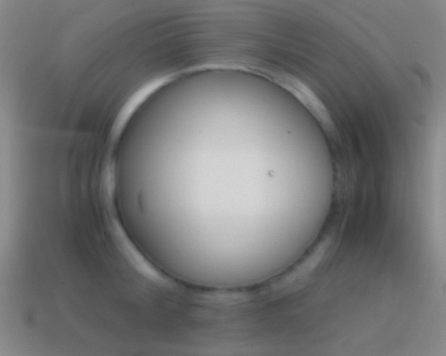 X0000114700804200910211008