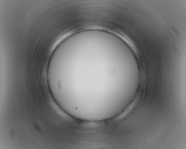 X0000114700806200910211008
