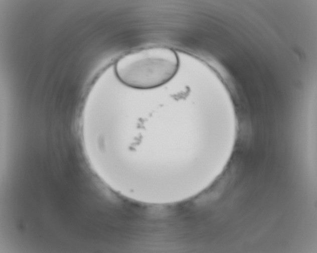 X0000114700807200910211008