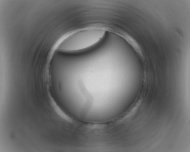 X0000114700808200910211008