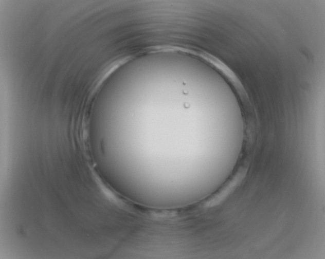 X0000114700809200910211008