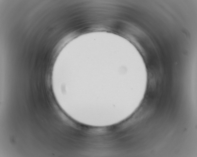 X0000114700810200910211008