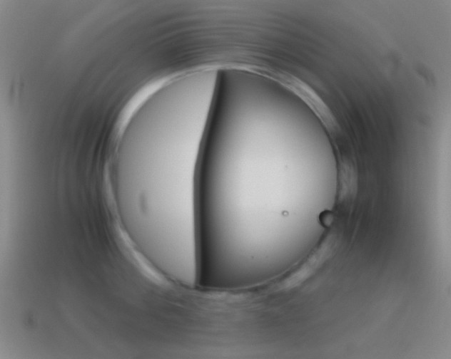 X0000114700812200910211008