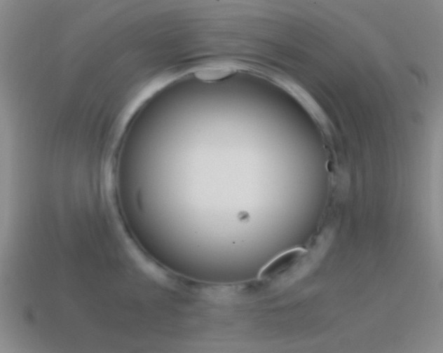 X0000114700813200910211008