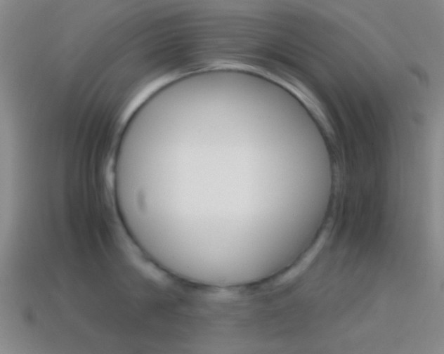 X0000114700814200910211008