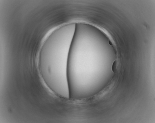 X0000114700815200910211008