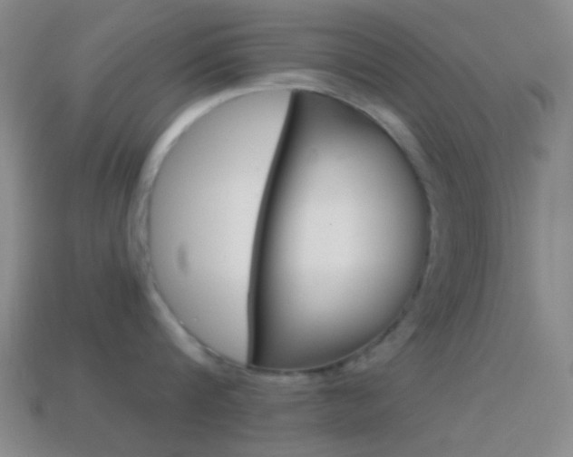 X0000114700816200910211008