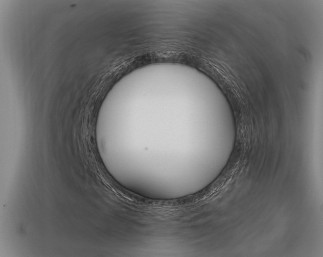 X0000114700817200910211007