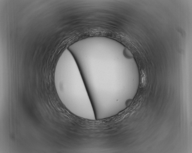 X0000114700819200910211007