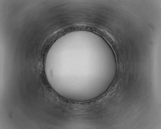 X0000114700821200910211007