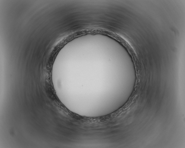 X0000114700823200910211007