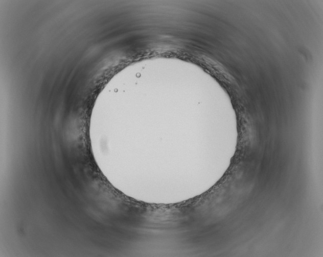X0000114700824200910211007