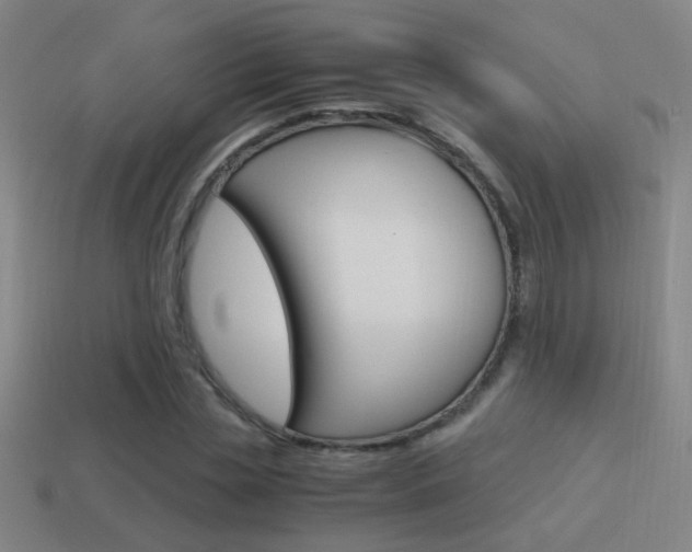 X0000114700829200910211007