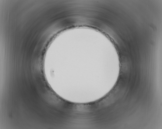 X0000114700832200910211007