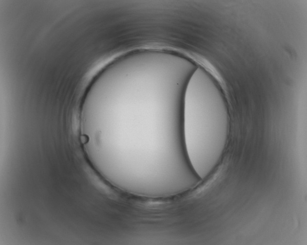 X0000114700839200910211007