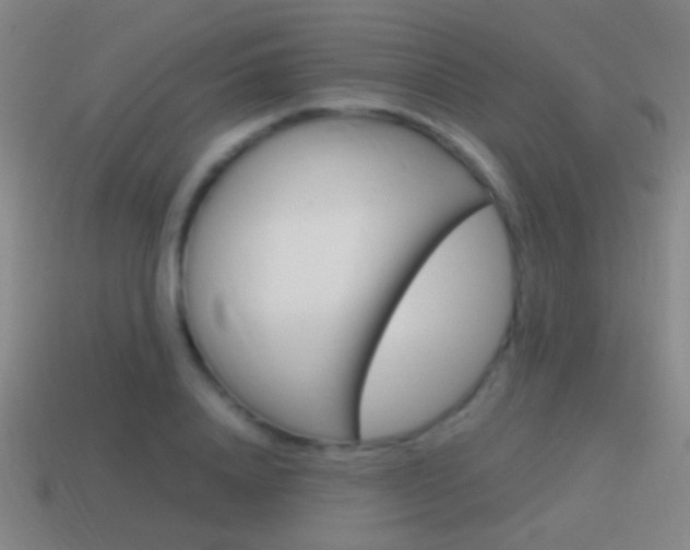 X0000114700840200910211007