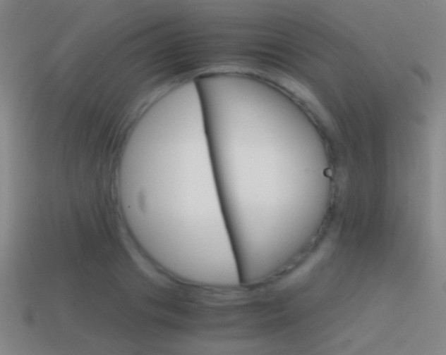 X0000114700841200910211007