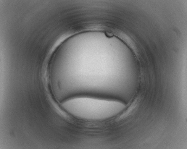 X0000114700843200910211007