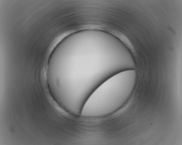 X0000114700844200910211007