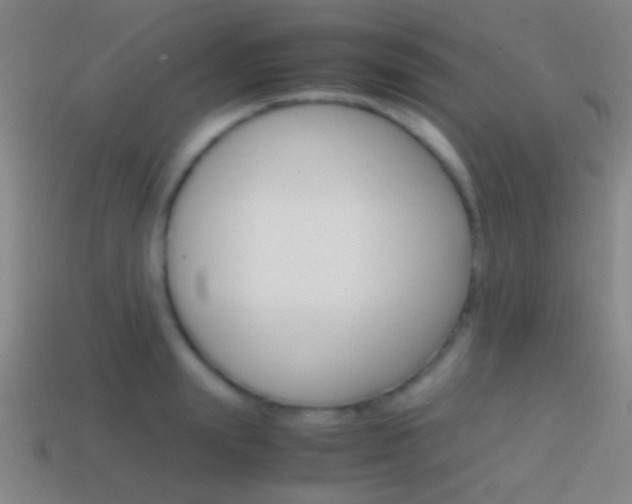 X0000114700847200910211007