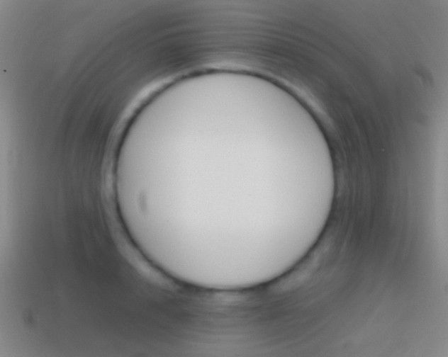 X0000114700848200910211007