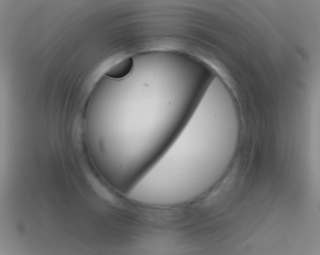 X0000114700850200910211008