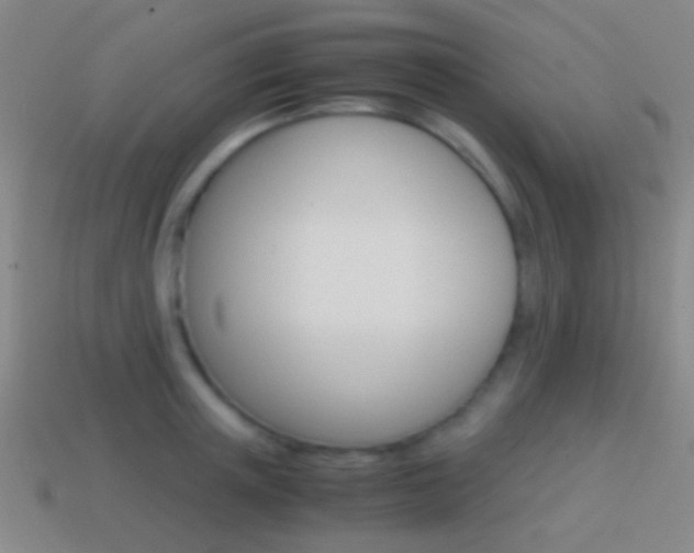 X0000114700851200910211008
