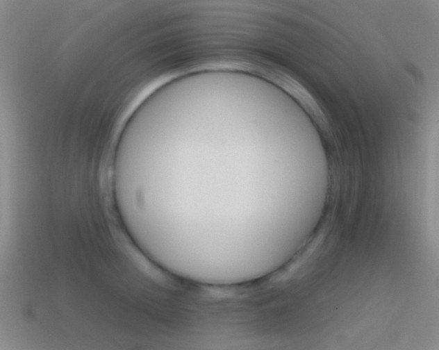 X0000114700852200910211008