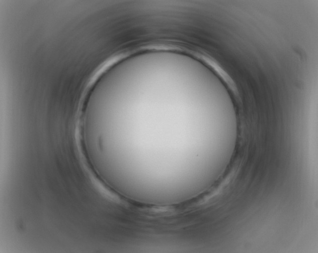 X0000114700853200910211008